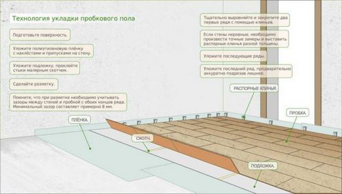 Укладка пробкового покрытия: клеевого, замкового, инструкция