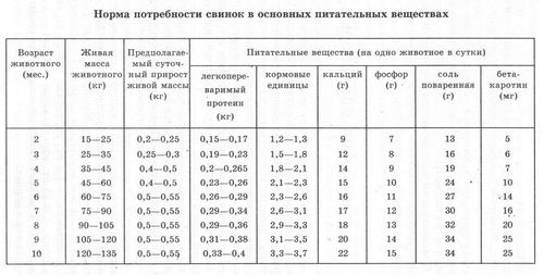 Вьетнамские свиньи разведение уход питание - подробная информация!