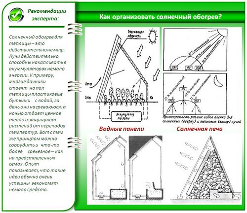 Выращивание зелени в теплице как бизнес: инструкция - подробно!