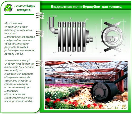 Выращивание зелени в теплице как бизнес: инструкция - подробно!