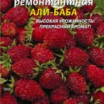 Земляника Али Баба: выращивание из семян - подробная инструкция!