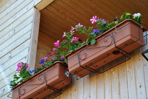 Ящики для цветов на балконе