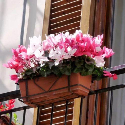 Ящики для цветов на балконе