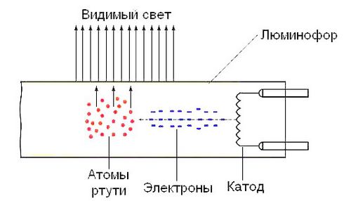 Энергосберегающие лампы: виды и принцип работы