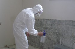 Как бороться с плесенью на стенах в домашних условиях народными средствами и химией (фото и видео)