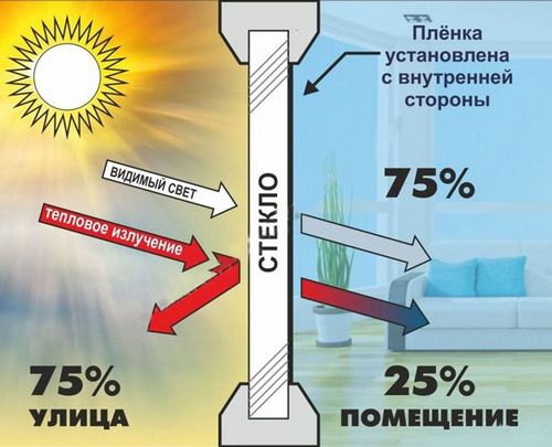 Как выбрать окна