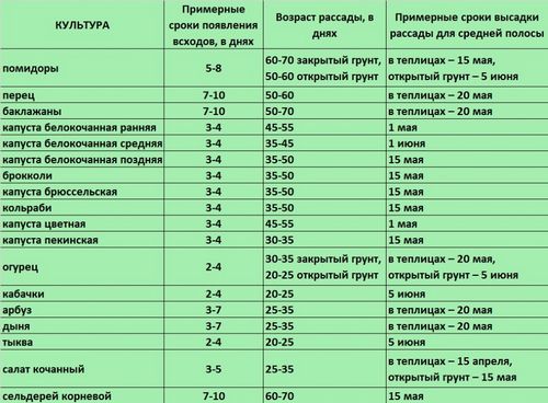 Какую рассаду сажают в марте – как определить время для посева?