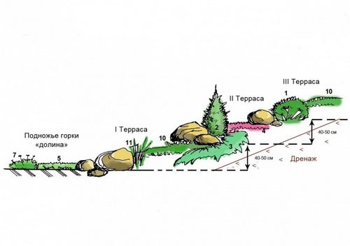 Красивые клумбы на даче своими руками + фото