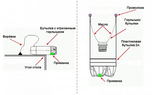 Мышеловка своими руками из пластиковой бутылки