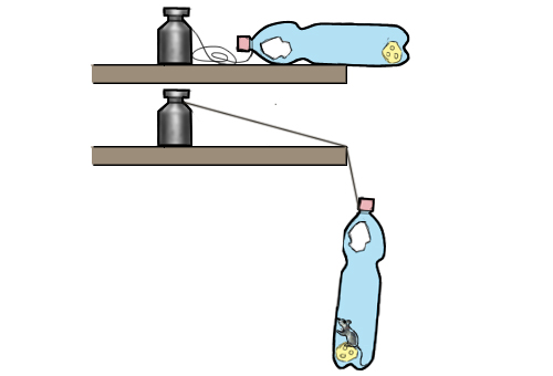 Мышеловка своими руками из пластиковой бутылки