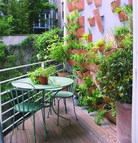 Оформление балкона цветами: как украсить, дизайн, вьющиеся, ампельные, фото