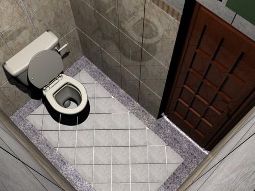 Отделка туалета в квартире фото: дизайн и оформление маленького метра, интерьер туалетной комнаты, мебель санузла