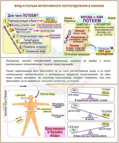 Польза и вред турецкой бани (хамама): кому можно, а кому нельзя?