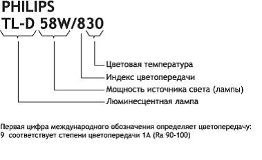 Потолочные светильники дневного света: виды, выбор, монтаж