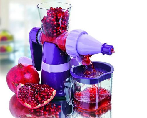 Ручная шнековая соковыжималка: отзывы о механической модели Healthy Juicer и других