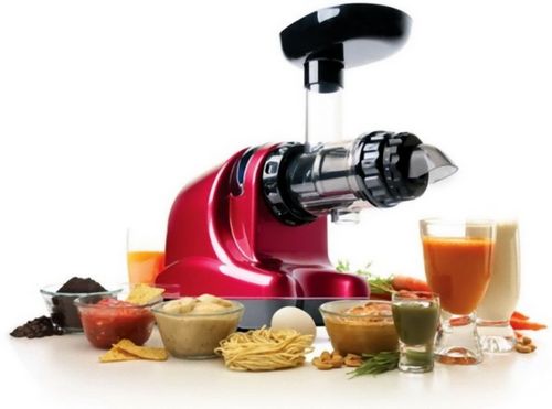 Ручная шнековая соковыжималка: отзывы о механической модели Healthy Juicer и других