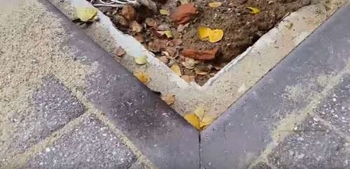 Технология укладки тротуарной плитки во дворе частного дома