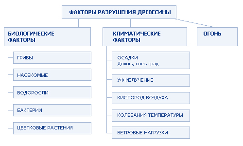 Защита древесины от гниения и влаги: обработка изнутри и снаружи