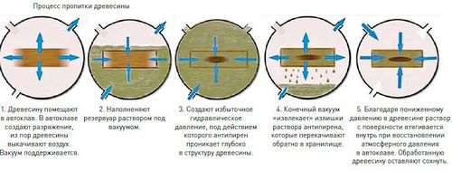 Защита древесины от гниения и влаги: обработка изнутри и снаружи
