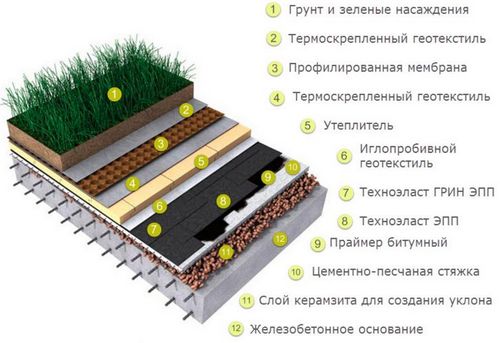 Зеленая кровля